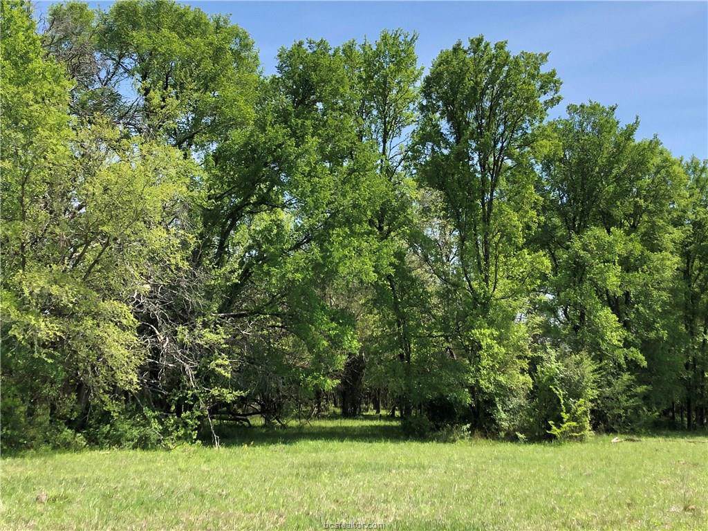 TBD County Road 220 Road - Photo 1 TBD County Road 220 Road - Photo 1