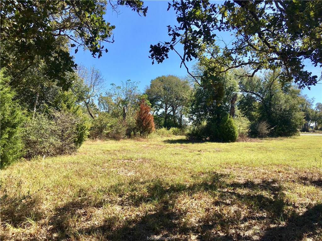 Lot 278 Leigh Court - Photo 1