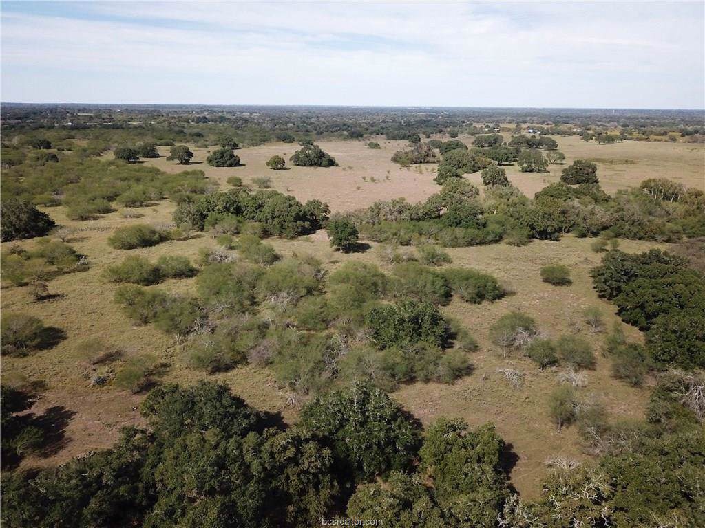 TBD Matthew Adams Road - Photo 1 TBD Matthew Adams Road - Photo 1
