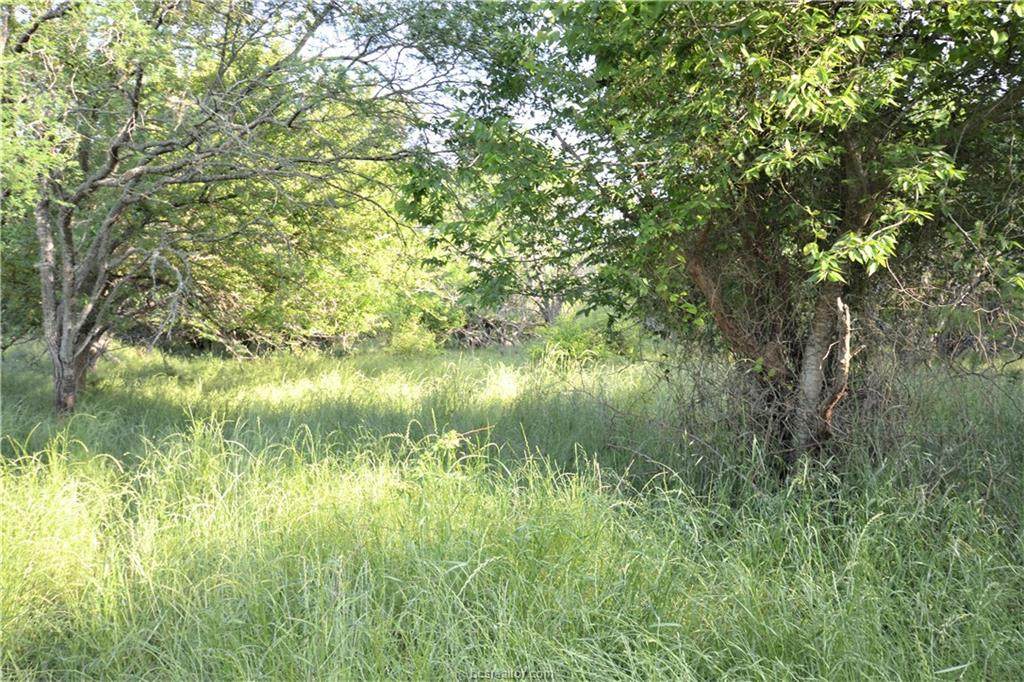 13083 Osr Road - Photo 1