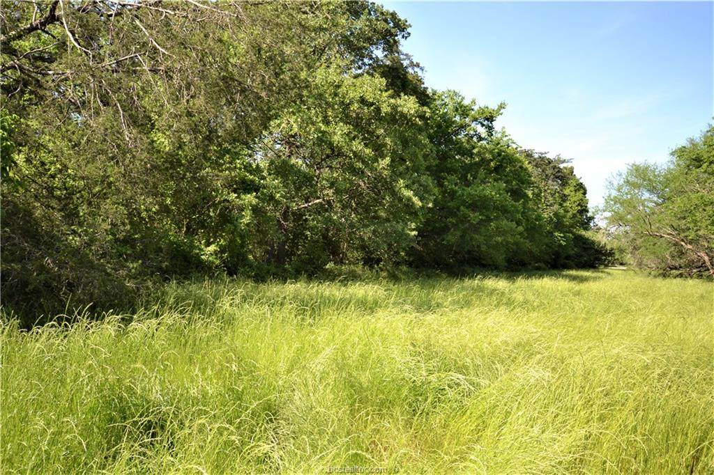 13083 Osr Road - Photo 1