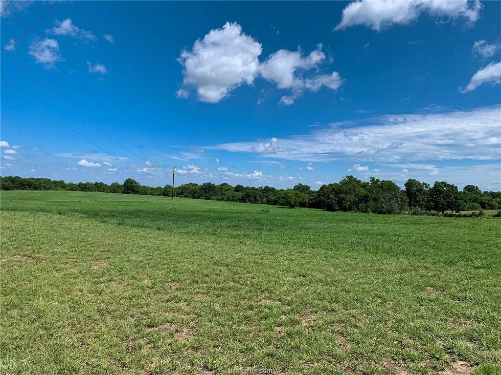 Lot 13 Reagans Way - Photo 1