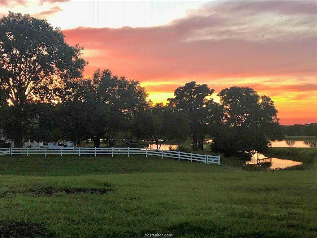 5025 Wallis Road - Photo 1
