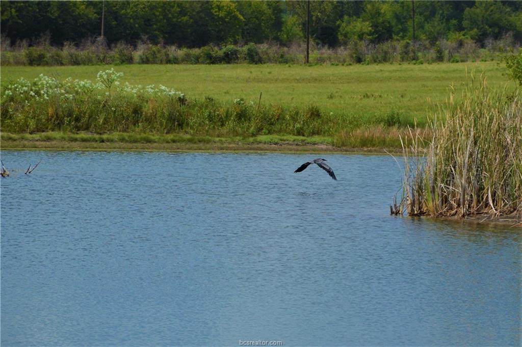 0027 Fm 149 Road - Photo 1