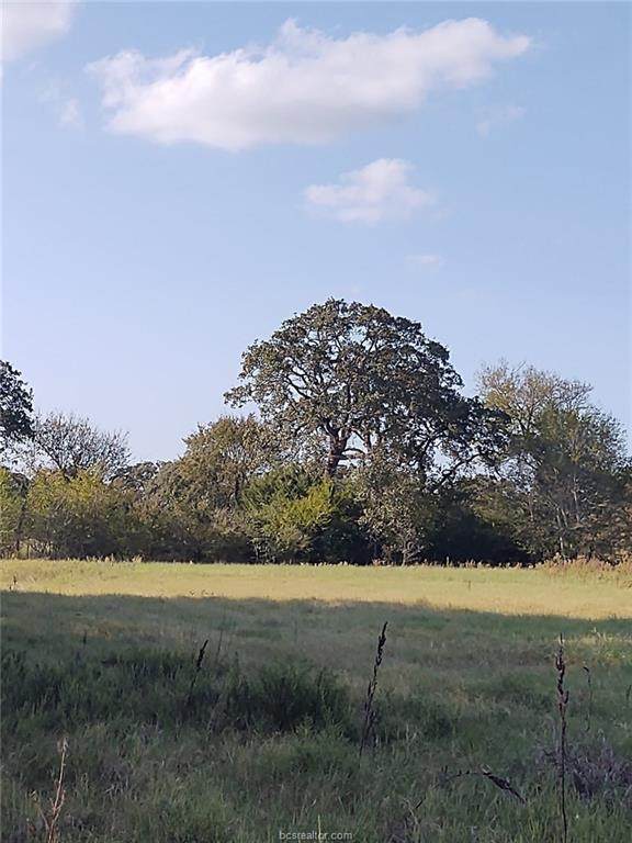 11195 Carter Lane - Photo 1