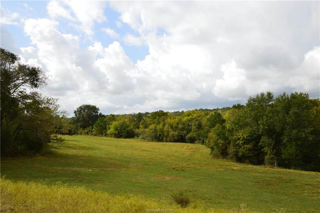 13526 Cr 407 - 50 Acres County Road - Photo 1