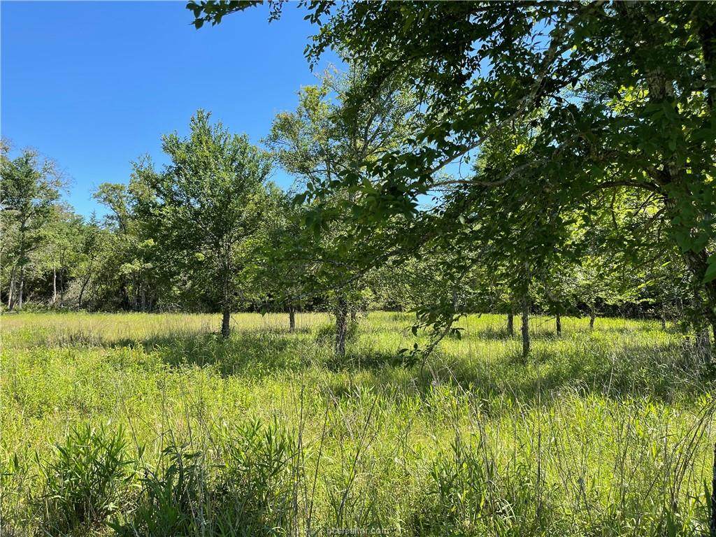 7114 Old Boone Prairie Rd. - Photo 1