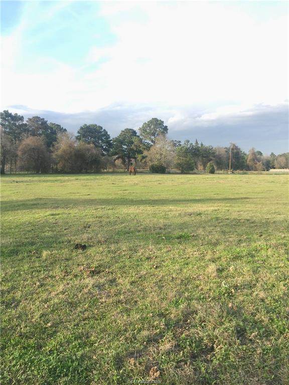 5546 (2.00 Acres) Fm 1774 Road - Photo 1