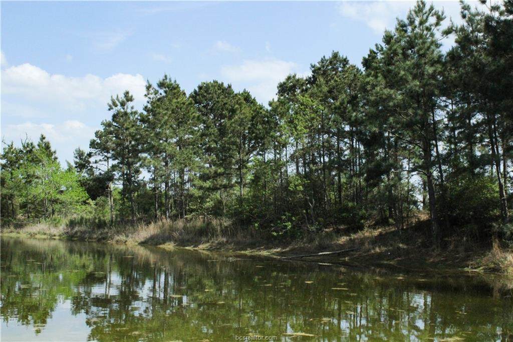 0018 County Road 304 - Photo 1