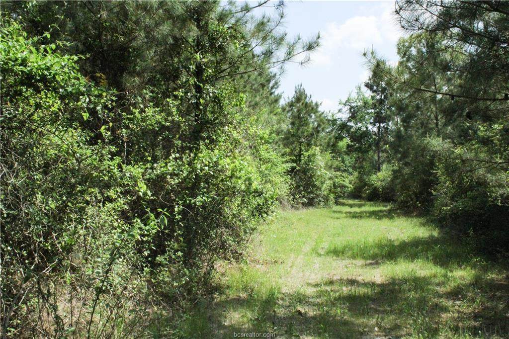 0013 County Road 304 - Photo 1