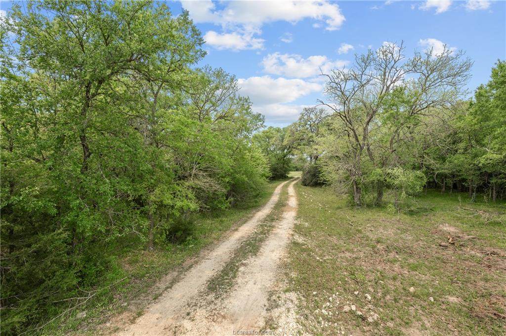 134.64 Acres County Rd 180 - Photo 1