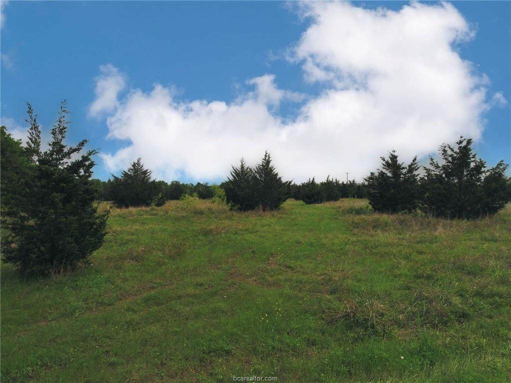 TBD-Tract 1 Cr 315 - Photo 1