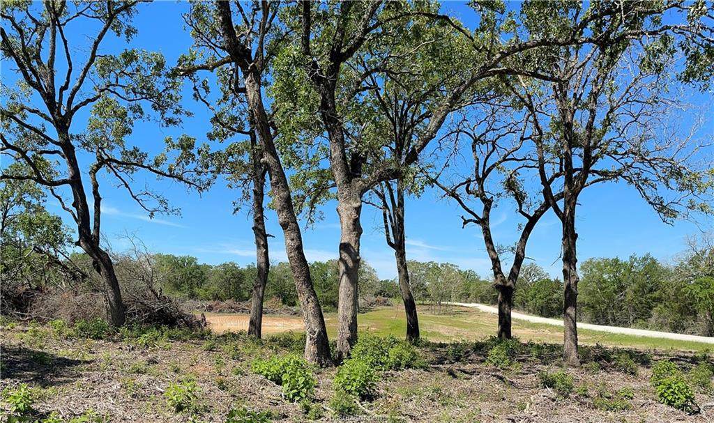 25 ac Old Boone Prairie Rd. - Photo 1