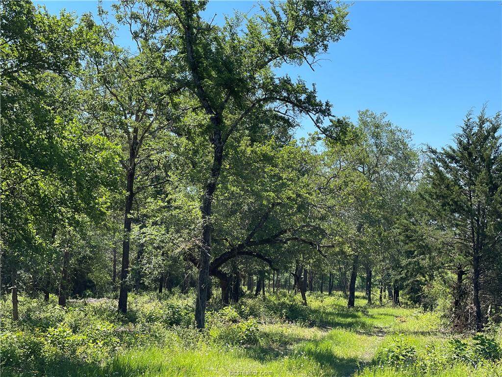 26 acres Old Boone Prairie Rd. - Photo 1