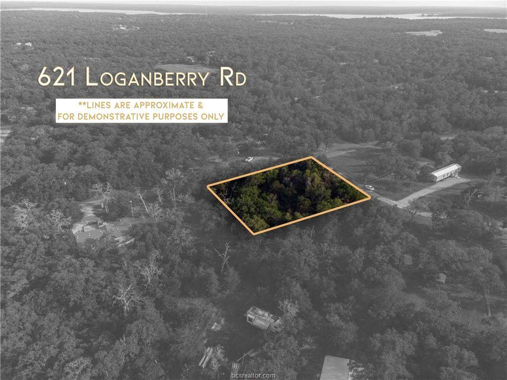 621 Loganberry Road - Photo 1