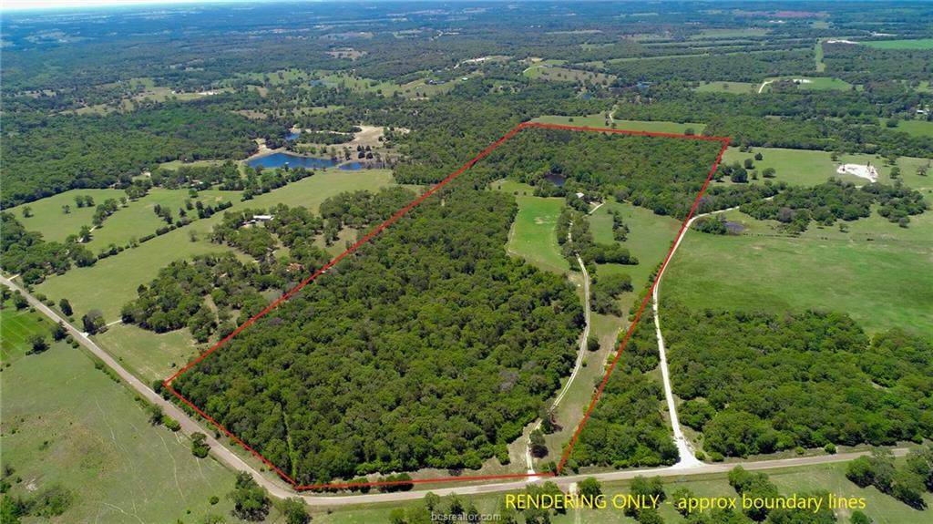 6331 County Road 339 (+/-63 Acres) - Photo 1