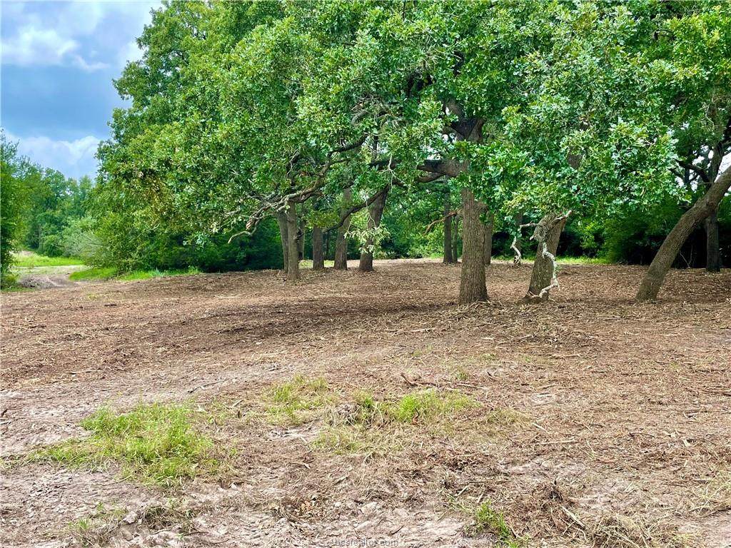 Lot 17 Bria Bend Drive - Photo 1