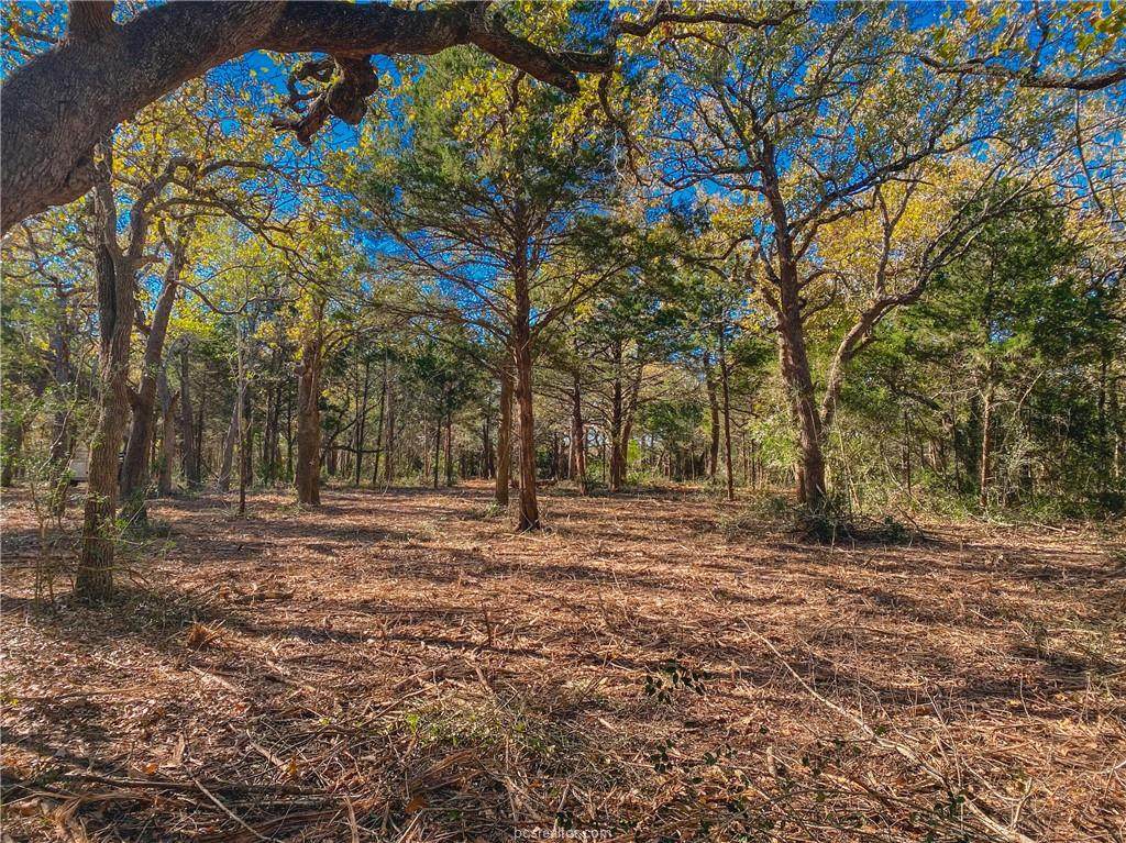 TBD (18.98 Acres) Fm 1697 - Photo 1