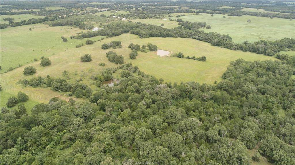 TBD County Road 236A - Photo 1
