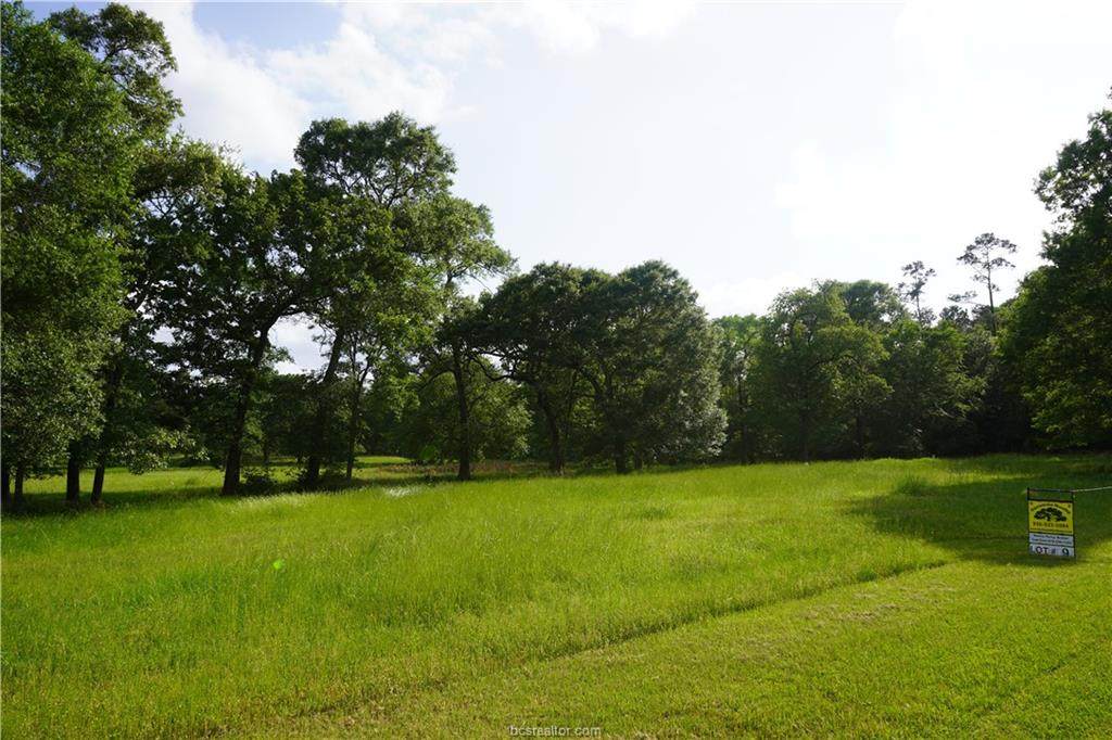 Tract 9 Reagan Reserve - Photo 1