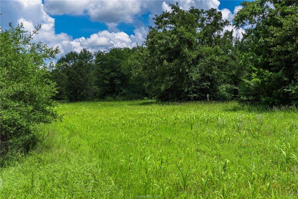 1 County Road 129 - Photo 1
