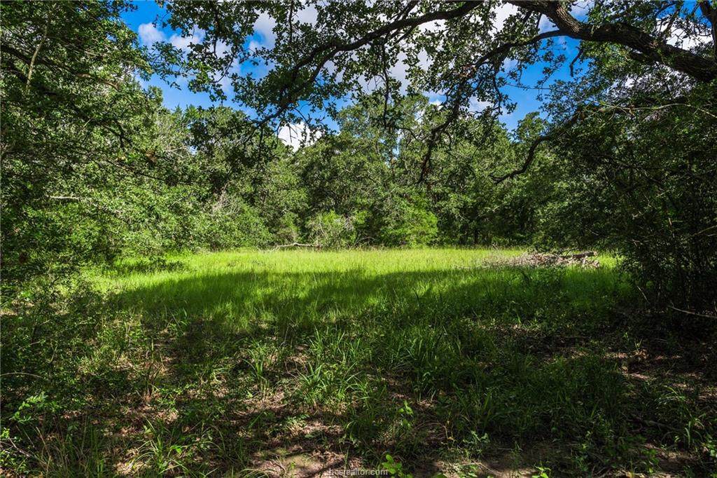 2 County Road 129 - Photo 1