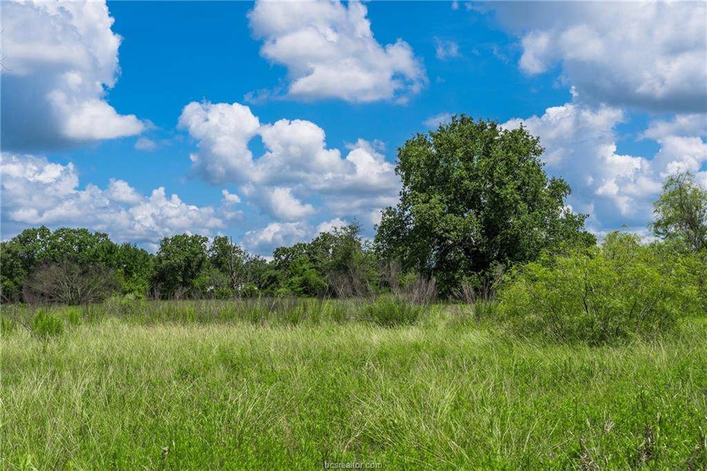 3 County Road 126 - Photo 1