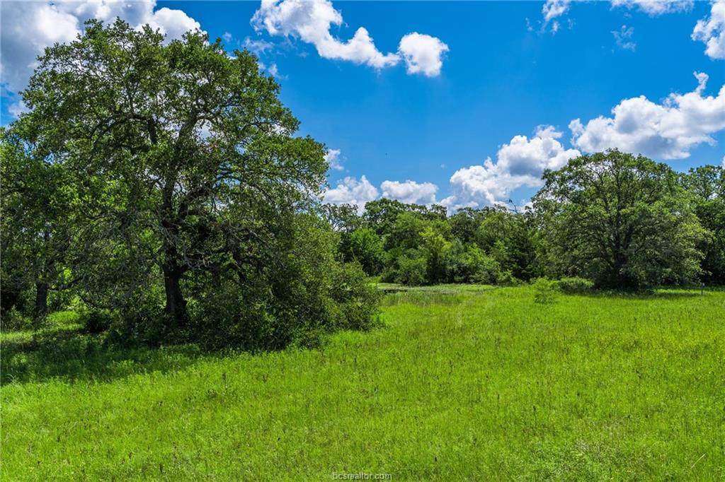 4 County Road 126 - Photo 1