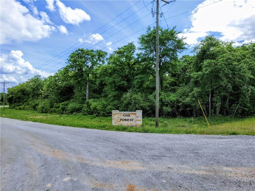 TBD - Lot 1 Sawmill Road - Photo 1
