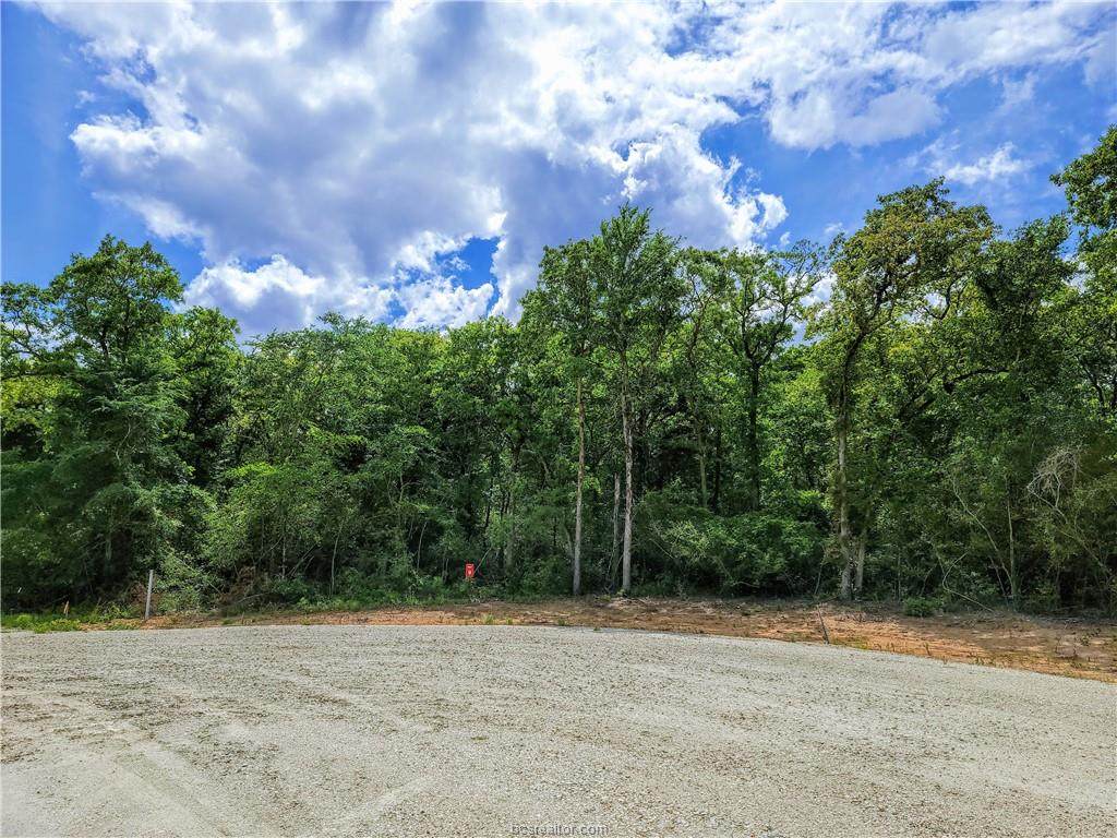 TBD - Lot 9 Sawmill Road - Photo 1