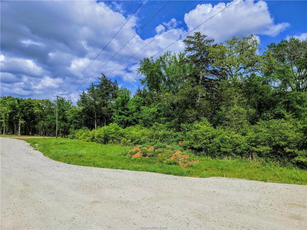 TBD - Lot 11 Sawmill Road - Photo 1