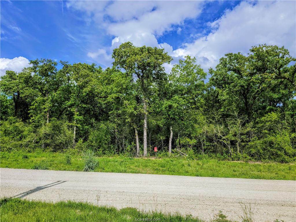 TBD - Lot 16 Sawmill Road - Photo 1
