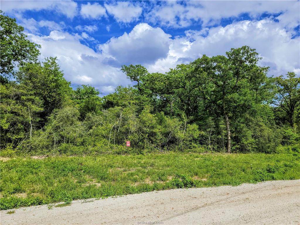 TBD - Lot 18 Sawmill Road - Photo 1