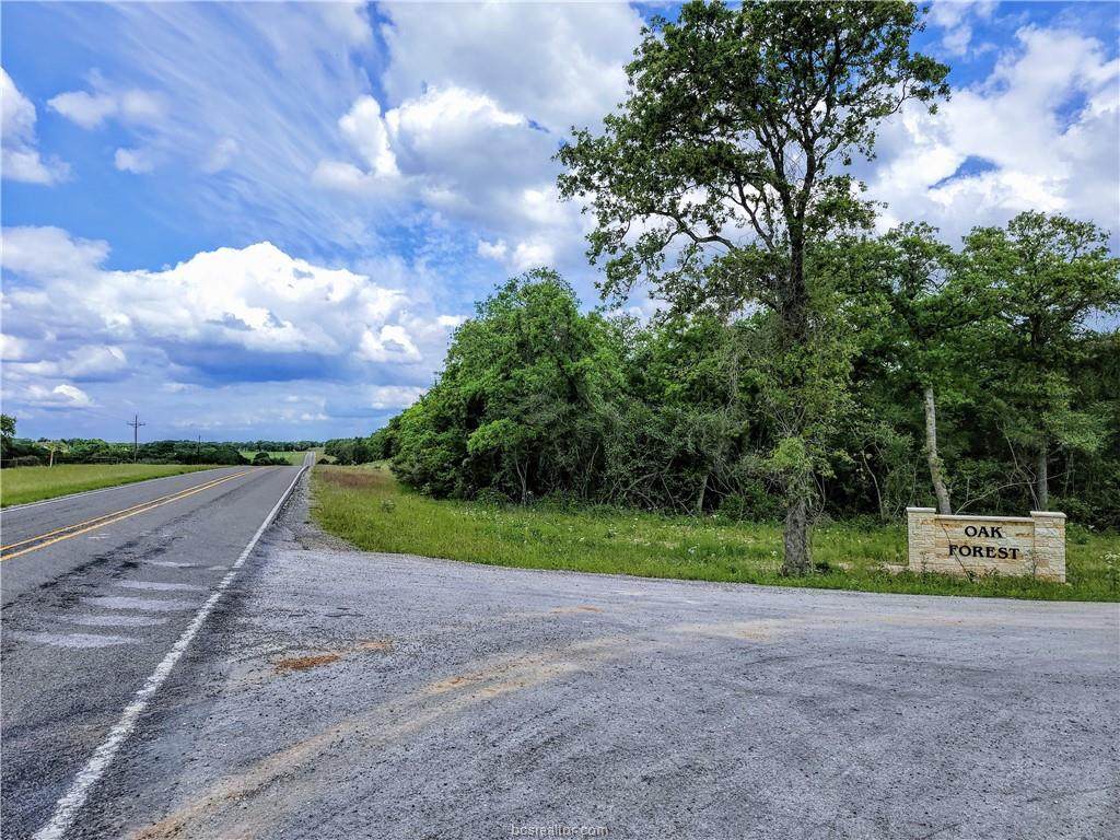TBD - Lot 19 Sawmill Road - Photo 1