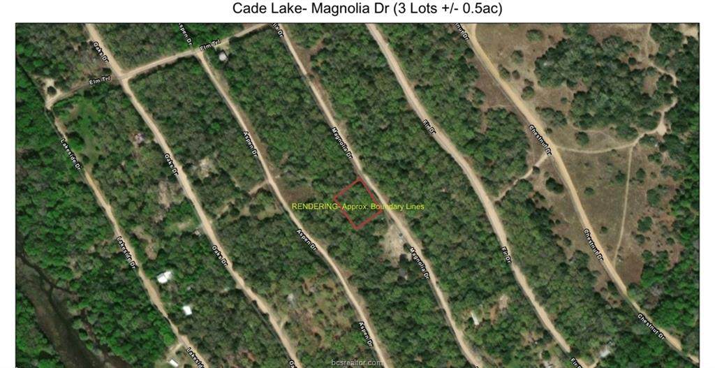 TBD (+/- 0.5ac) Magnolia Drive - Photo 1
