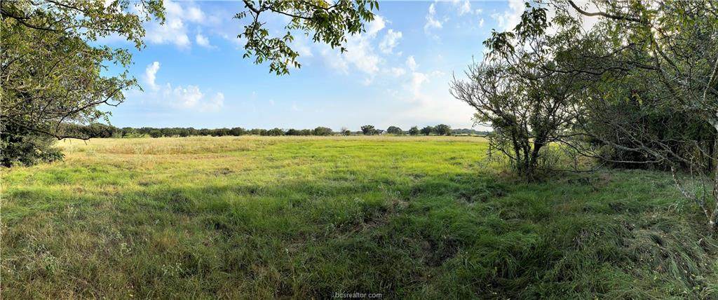 Lot 16 TBD Old Hickory Grove Rd Farm To Market Road - Photo 1