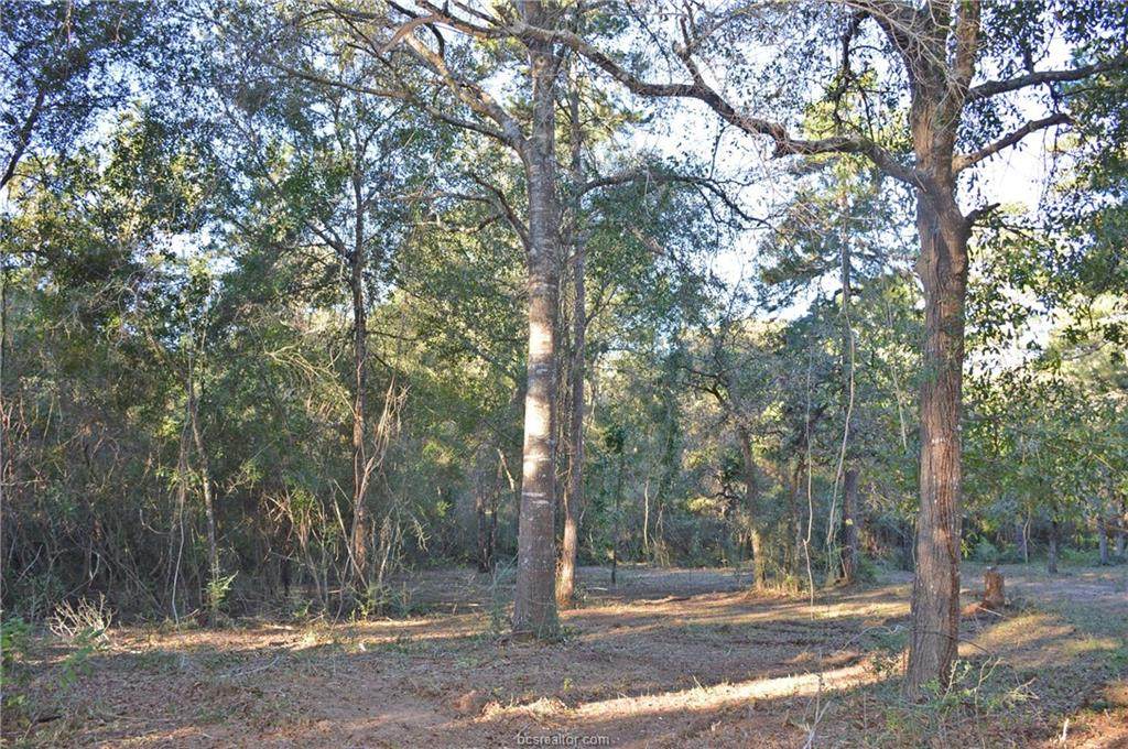 0003 Mata Rd - Photo 1