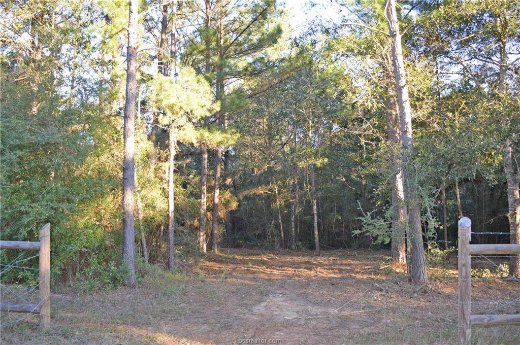 0002 Mata Rd - Photo 1