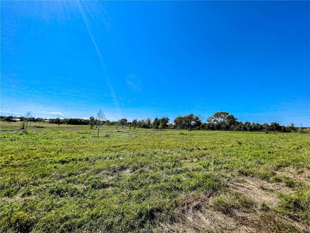 Lot 1 County Road 219 - Photo 1