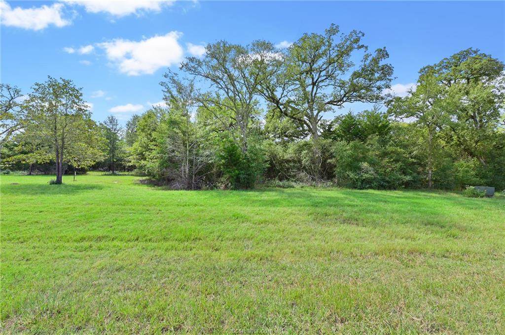 9040 Green Branch - Photo 1