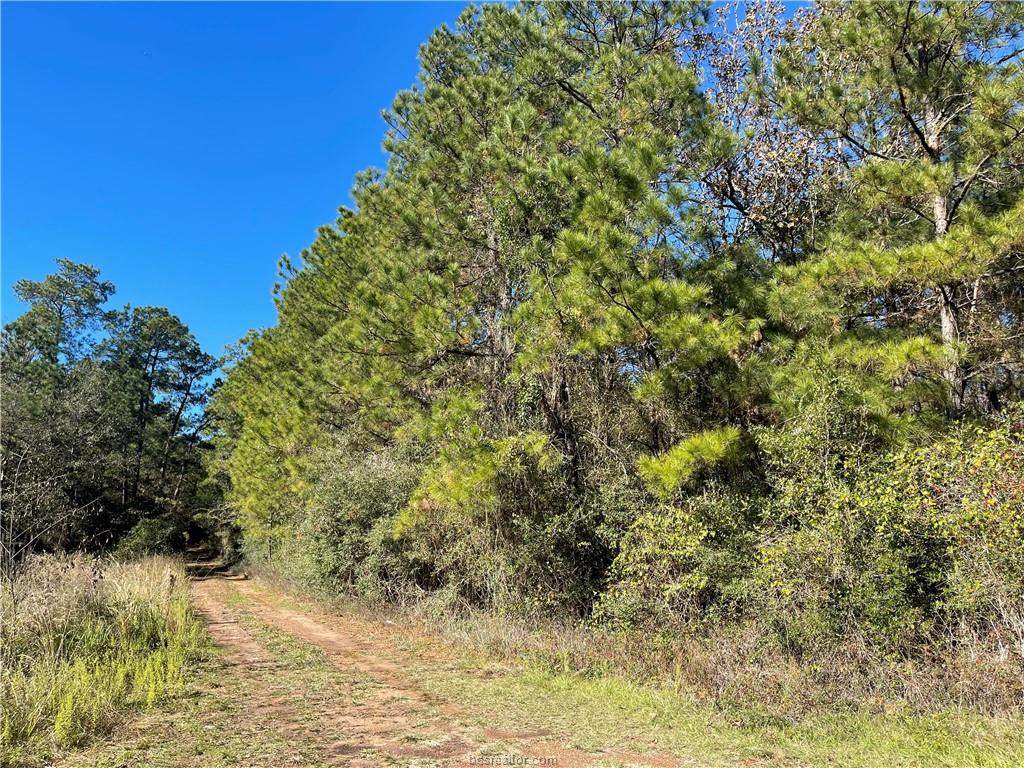 00 Tawnyberry Ln - Photo 1