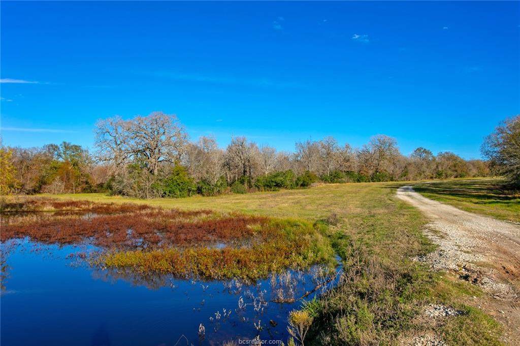 TBD County Road 103 (+/-665 Acres) - Photo 1