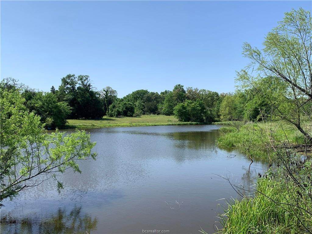 15420 Arhopulos Road - Photo 1