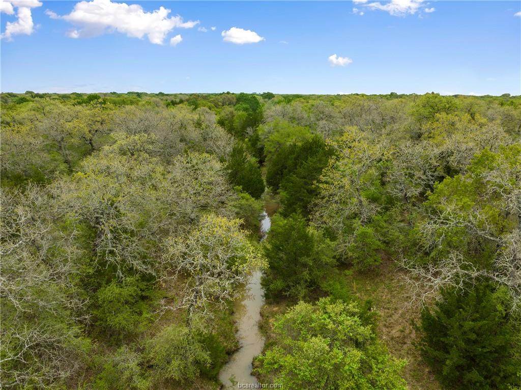 1029 Bluebonnet Ln - Photo 1