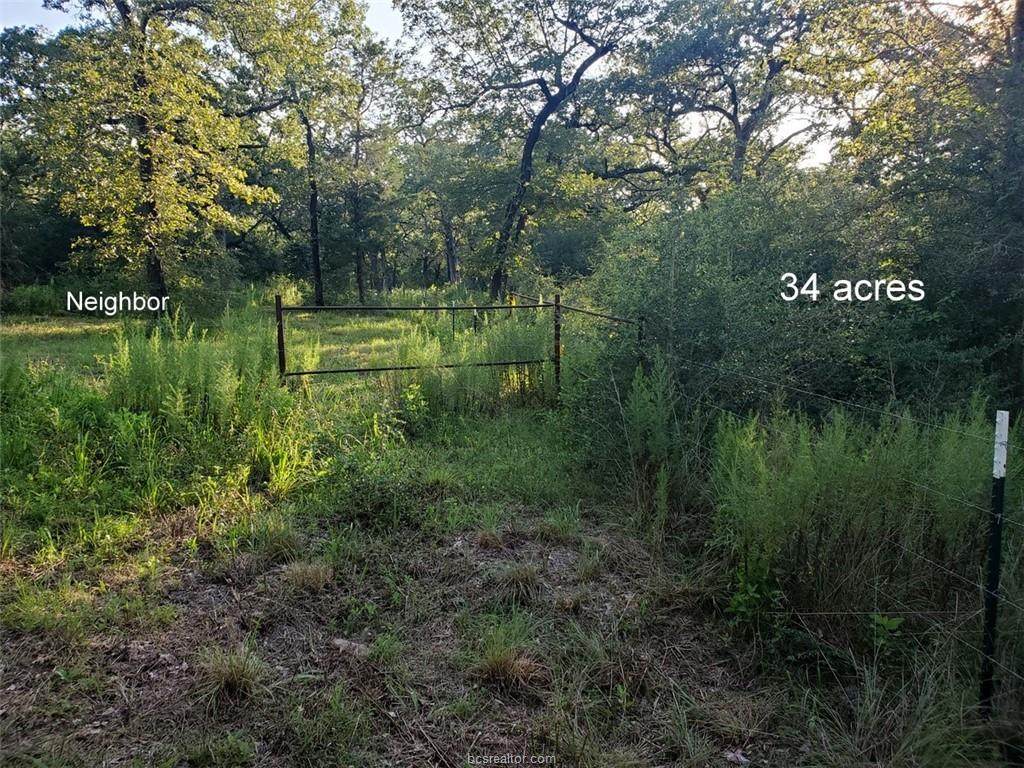 TBD Jackrabbit Lane - Photo 1