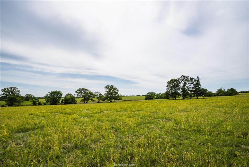 16657 Reagan Loop County Road - Photo 1