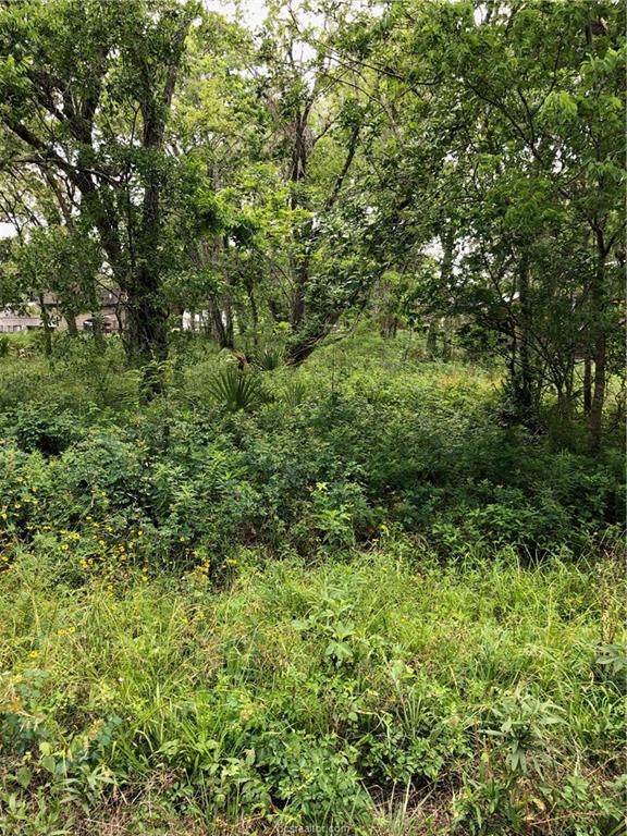 20402 CR 510 U LANE Leperchaun Ln Lane - Photo 1