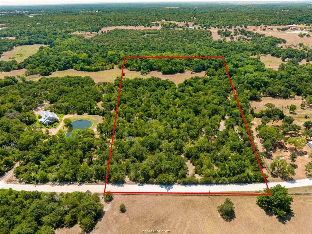 TBD Batts Ferry Road - Photo 1