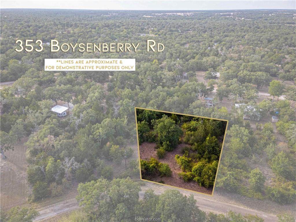 353 Boysenberry Road - Photo 1