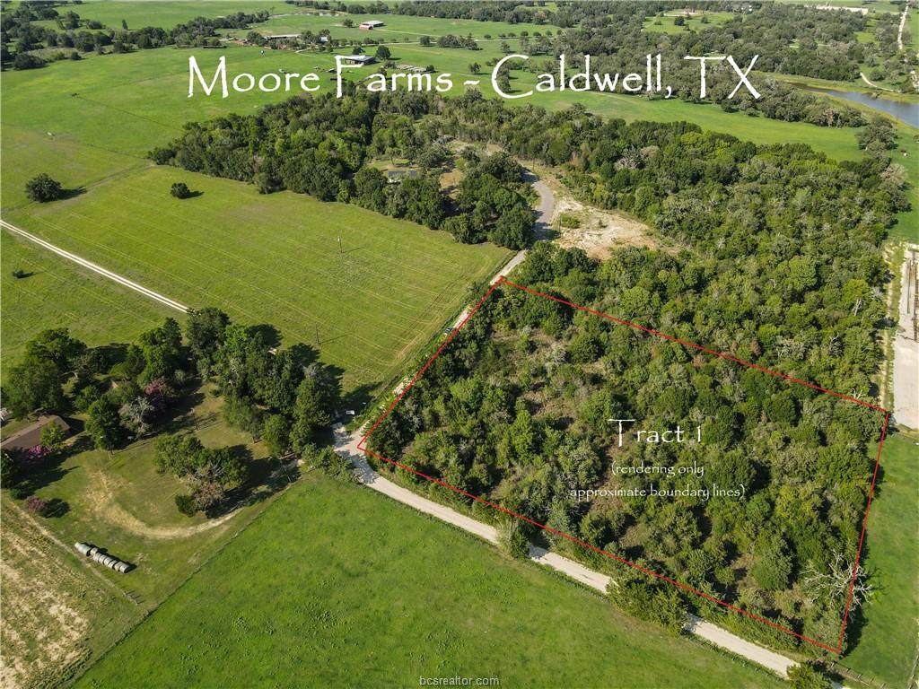 3681 County Road 234 (+3.0 Acres) - Photo 1